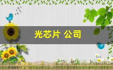 光芯片 公司(光芯片公司PE估值)_https://www.wanyuyiyao.com_上交所_第1张